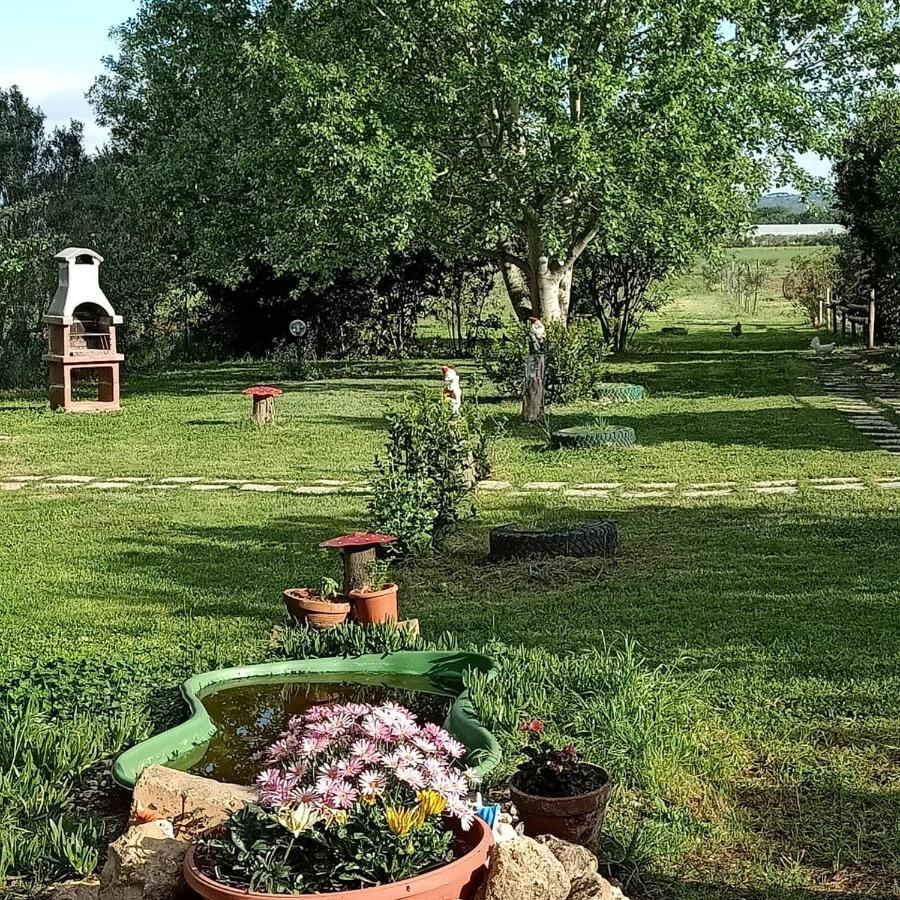 Agriturismo Il Cipresso 瓦达 外观 照片