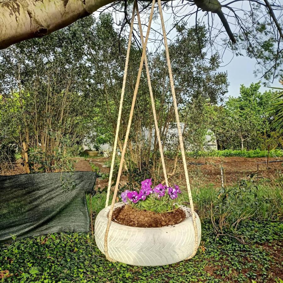 Agriturismo Il Cipresso 瓦达 外观 照片