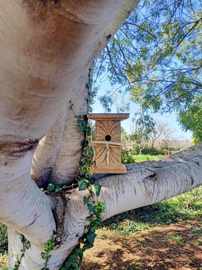 Agriturismo Il Cipresso 瓦达 外观 照片