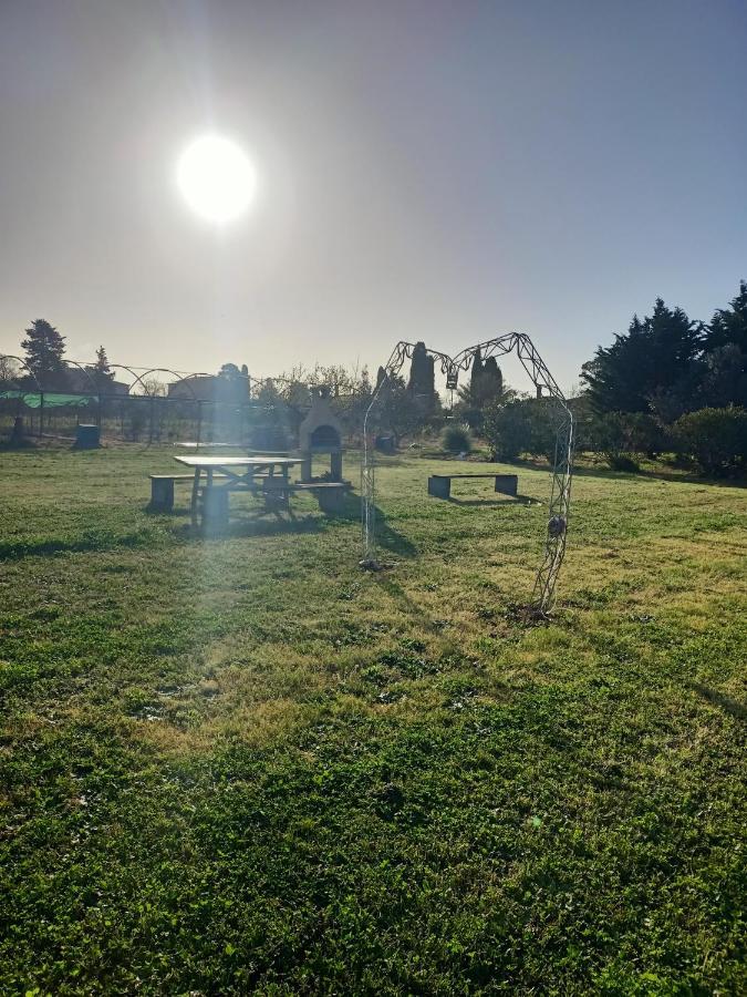 Agriturismo Il Cipresso 瓦达 外观 照片