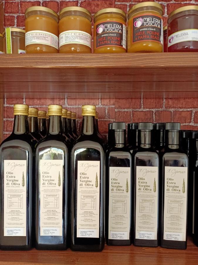 Agriturismo Il Cipresso 瓦达 外观 照片