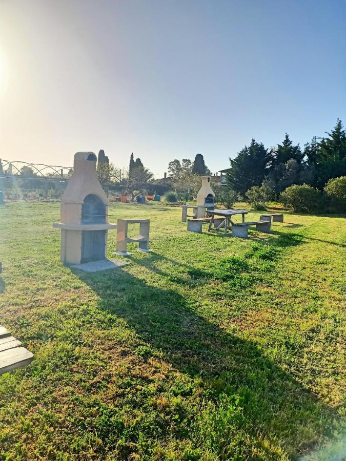Agriturismo Il Cipresso 瓦达 外观 照片