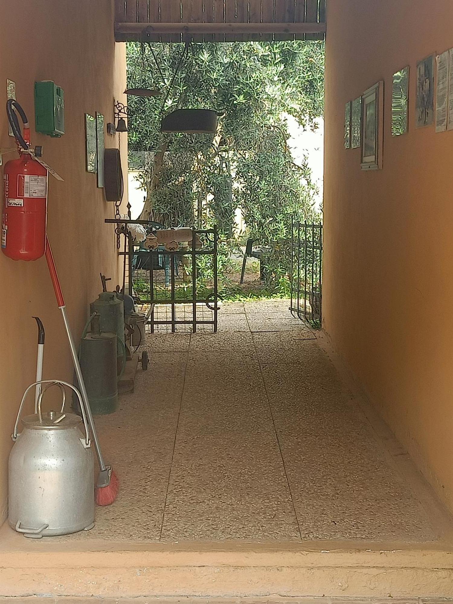 Agriturismo Il Cipresso 瓦达 外观 照片